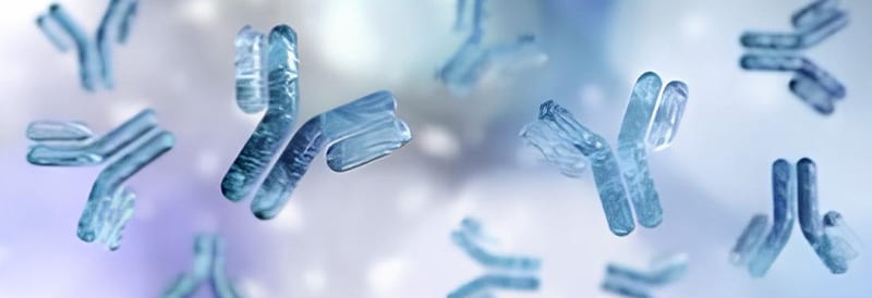 Der Aufstieg monoklonaler Antikörper als Blockbuster-Medikamente