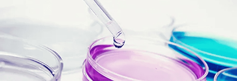 Neue Wege der Kontaminationskontrolle bei Zellkulturen