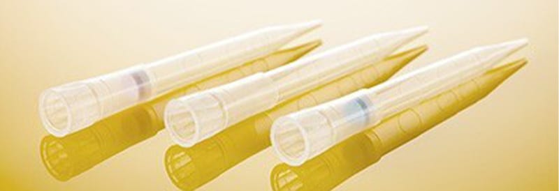 BioBased – Ihr Weg zu nachhaltigeren Laborverbrauchsmaterialien