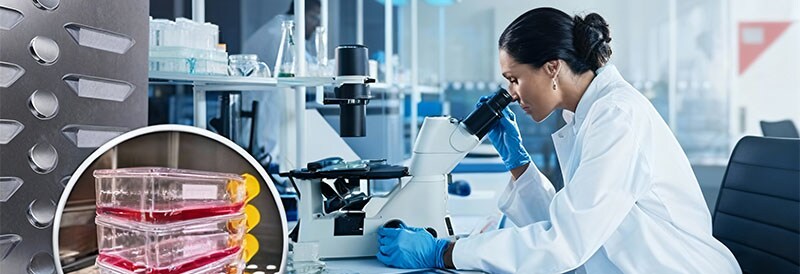 Zellkultivierung ohne Kontamination: Wie hilft der CO₂-Inkubator?