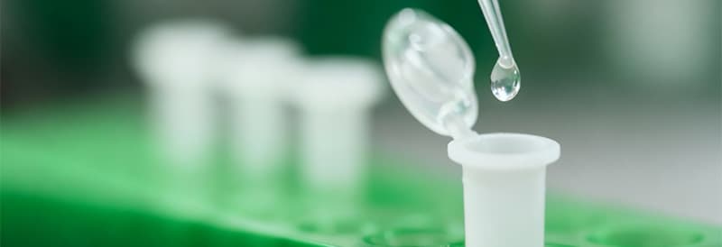 Optimieren Sie Ihre Immunpräzipitation (IP) mit ChromoTek Nano-Traps