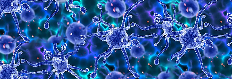 Der Kampf gegen antimikrobielle Resistenzen: eine dringende globale Herausforderung