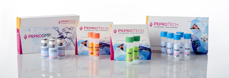 Auswahl von Zytokinen für Konsistenz: Eine Fallstudie zu FGF-Basic für die Verwendung mit pluripotenten Stammzellen, von der Forschung bis zur Herstellung