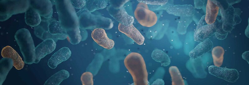 Grundlagen der Sicherheit bei biologischen Prozessen: Endotoxin-, Mykoplasmen- und Sterilitätstests 