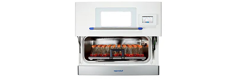 Beschleunigen Sie Ihr Wachstum