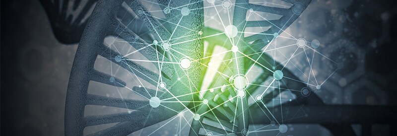 Detecting Phenol in Nucleic Acid Samples with the Nanodrop One Spectrophotometer