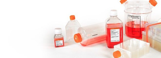 19332_Corning Expansion v2 19332_Corning Expansion v2