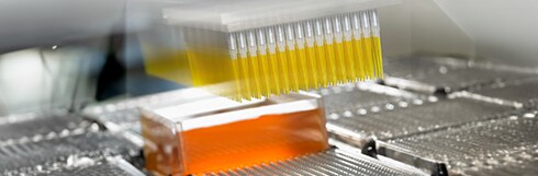 Axygen™ Produktauswahl-Leitfaden Axygen™ Produktauswahl-Leitfaden