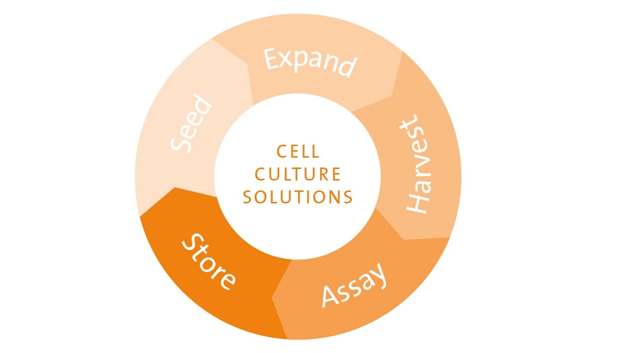 Cell Culture Solutions