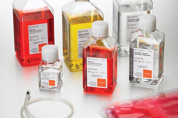 Puffer und Medienvorbereitung