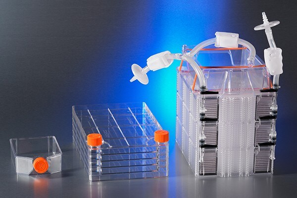 Saatgut und Expandieren