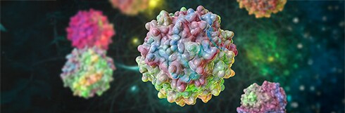 Warum sollten Sie SEC für die Analyse von AAV-Aggregaten in Betracht ziehen?