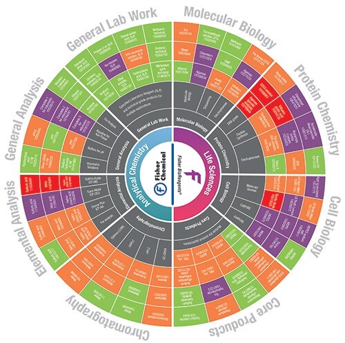 NLSU_Wheel_2 NLSU_Wheel_2
