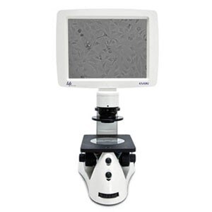 Cell_Culture_and_Analysis_Cell_Analysis Cell_Culture_and_Analysis_Cell_Analysis