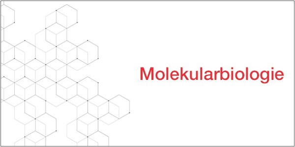 13834_MolecularBiology_DE