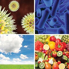 Prime Pro qPCR Reagent Kits 