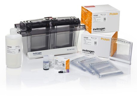 Bolt_Welcome_PackAB Bolt_Welcome_PackAB