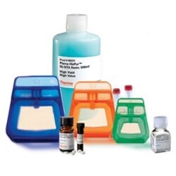 q2-results-cell-culture-workflow-solutions-protein-product-0251 q2-results-cell-culture-workflow-solutions-protein-product-0251