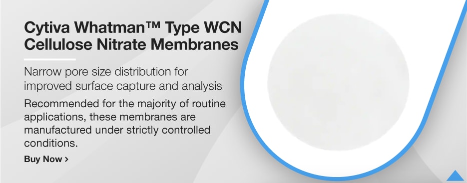 Cytiva Whatman™ Typ WCN Cellulosenitrat-Membranen Cytiva Whatman™ Typ WCN Cellulosenitrat-Membranen