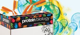 thermo-scientific-protein-biology
