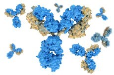 BioLC Columns BioLC Columns