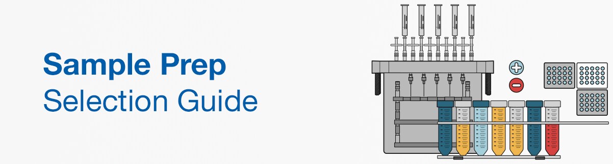 19713_sg_banner_EN 19713_sg_banner_EN