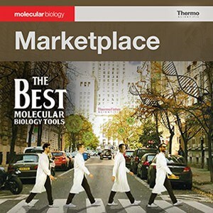 marketplace marketplace