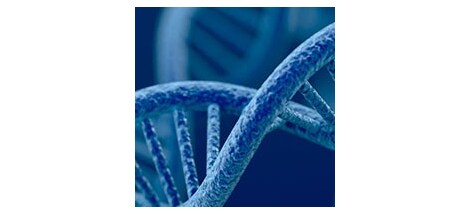 15308_tab_1_image_2_new 15308_tab_1_image_2_new